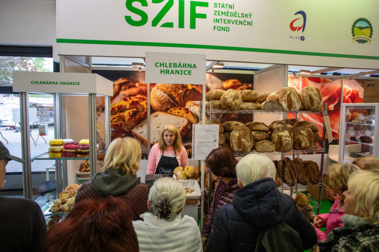 FOTOGALERIE: Barvy a vůně podzimu. V Olomouci začala oblíbená výstava Flora