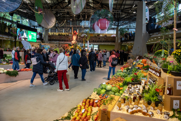 FOTOGALERIE: Barvy a vůně podzimu. V Olomouci začala oblíbená výstava Flora