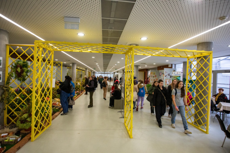 FOTOGALERIE: Barvy a vůně podzimu. V Olomouci začala oblíbená výstava Flora