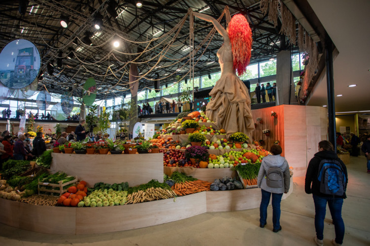 FOTOGALERIE: Barvy a vůně podzimu. V Olomouci začala oblíbená výstava Flora