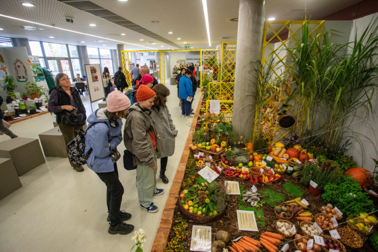FOTOGALERIE: Barvy a vůně podzimu. V Olomouci začala oblíbená výstava Flora