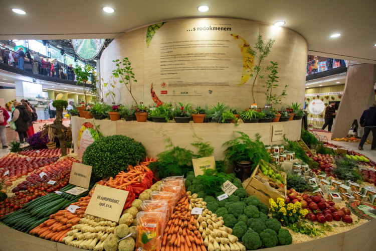 FOTOGALERIE: Barvy a vůně podzimu. V Olomouci začala oblíbená výstava Flora