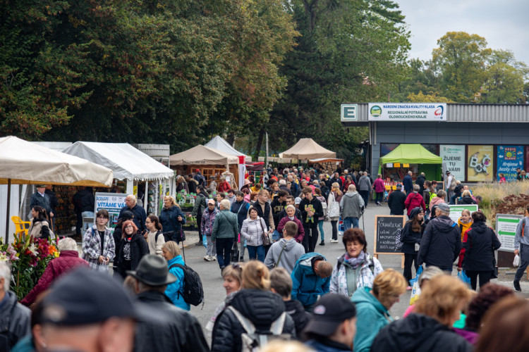 FOTOGALERIE: Barvy a vůně podzimu. V Olomouci začala oblíbená výstava Flora
