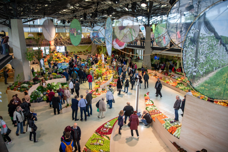 FOTOGALERIE: Barvy a vůně podzimu. V Olomouci začala oblíbená výstava Flora