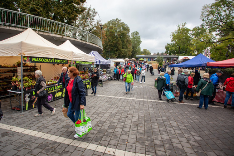 FOTOGALERIE: Barvy a vůně podzimu. V Olomouci začala oblíbená výstava Flora