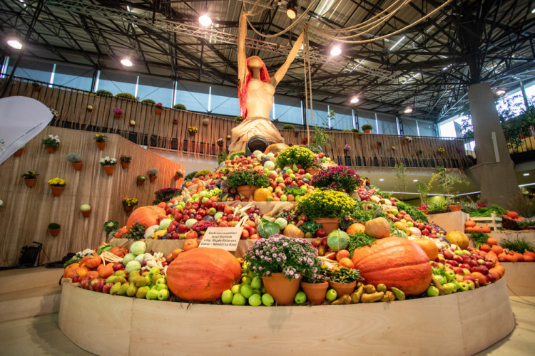 FOTOGALERIE: Barvy a vůně podzimu. V Olomouci začala oblíbená výstava Flora