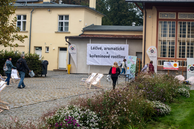 FOTOGALERIE: Barvy a vůně podzimu. V Olomouci začala oblíbená výstava Flora