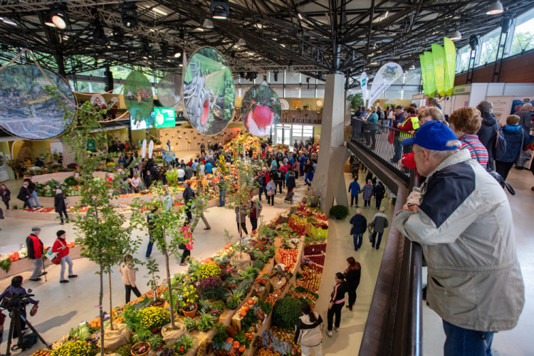 FOTOGALERIE: Barvy a vůně podzimu. V Olomouci začala oblíbená výstava Flora