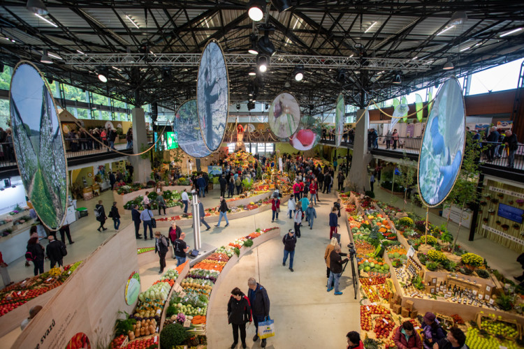 FOTOGALERIE: Barvy a vůně podzimu. V Olomouci začala oblíbená výstava Flora