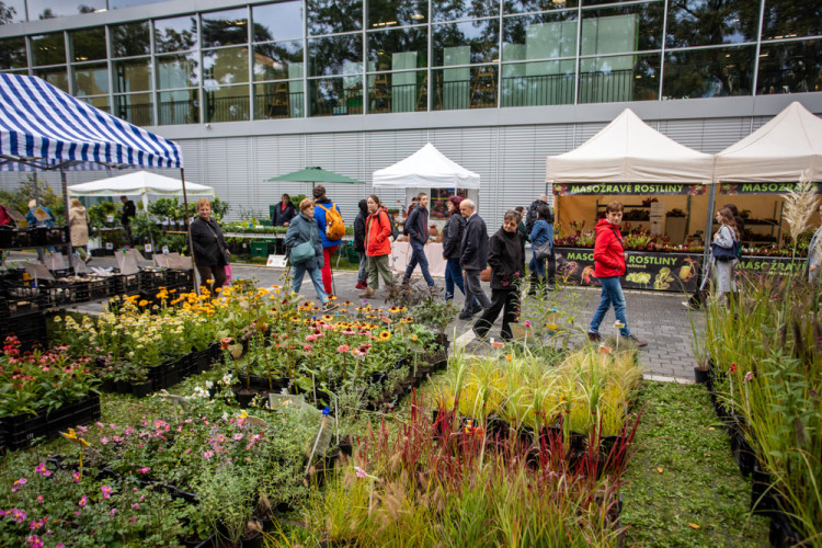FOTOGALERIE: Barvy a vůně podzimu. V Olomouci začala oblíbená výstava Flora