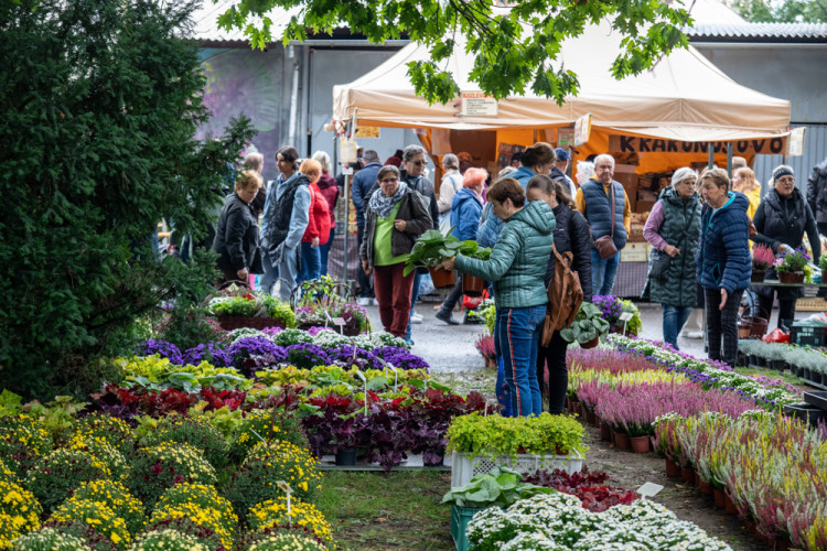 FOTOGALERIE: Barvy a vůně podzimu. V Olomouci začala oblíbená výstava Flora
