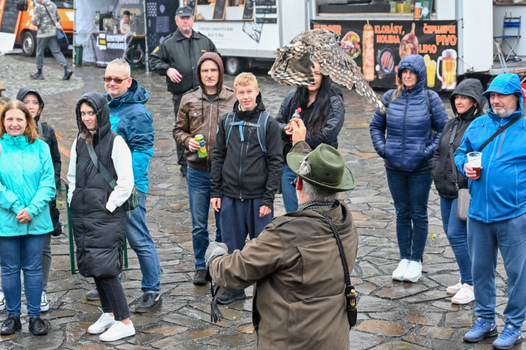 S dravci na hradním Hodokvasu. Tentokrát v chladu a dešti