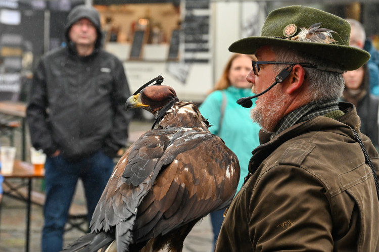 S dravci na hradním Hodokvasu. Tentokrát v chladu a dešti