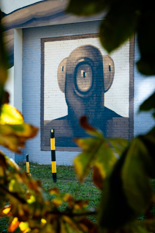 FOTOGALERIE: Street Art Festival obohatil ulice Olomouce