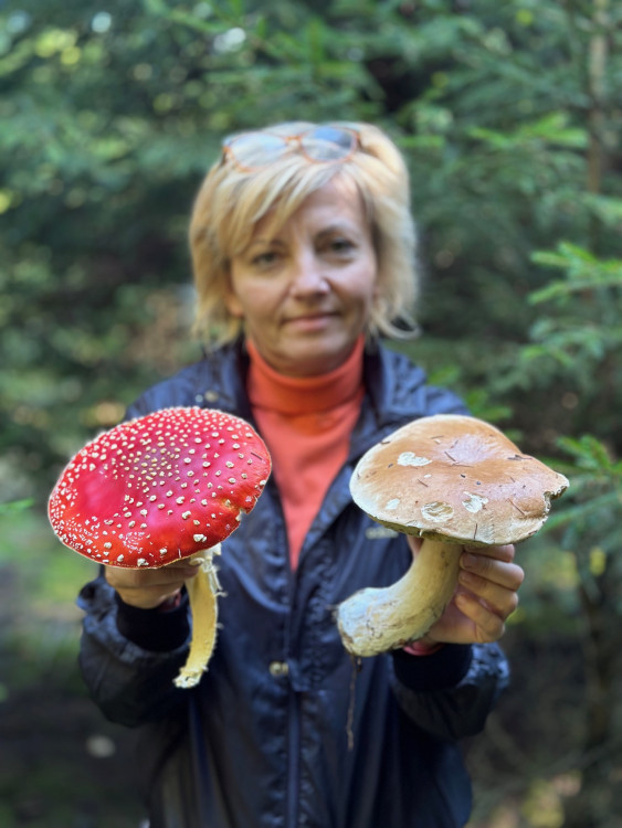 FOTOGALERIE: Houbaření na Plzeňsku