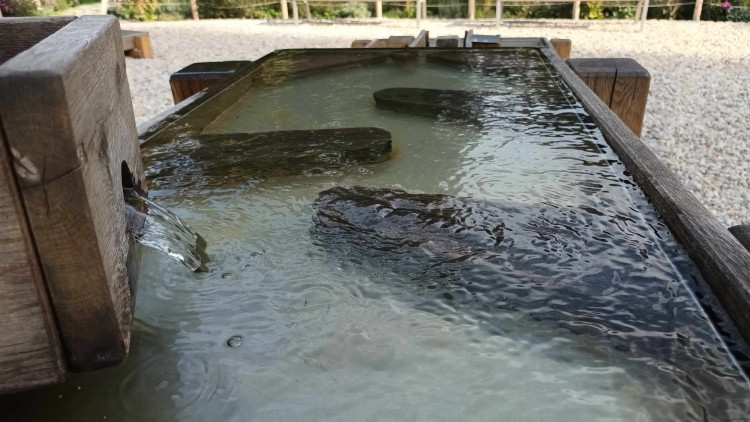 FOTOGALERIE: Přerov vybudoval unikátní vodní zahradu. Těší se velké oblibě