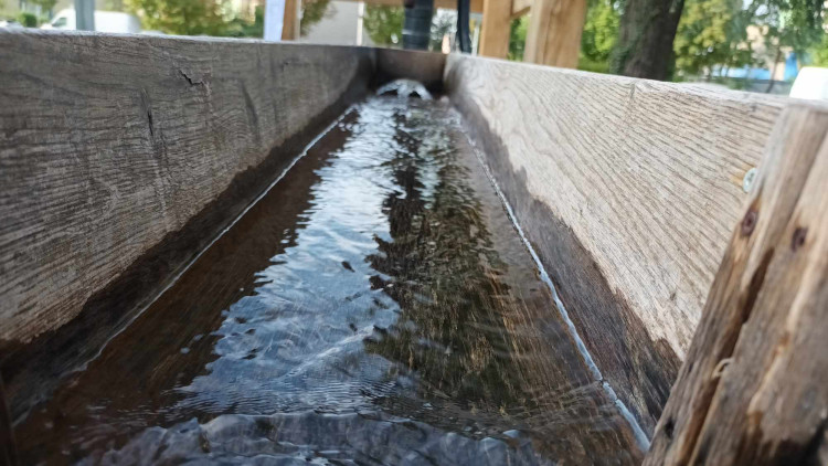 FOTOGALERIE: Přerov vybudoval unikátní vodní zahradu. Těší se velké oblibě