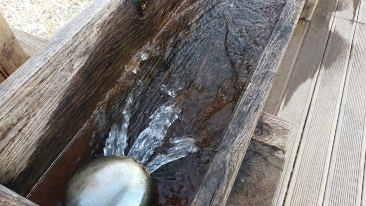 FOTOGALERIE: Přerov vybudoval unikátní vodní zahradu. Těší se velké oblibě