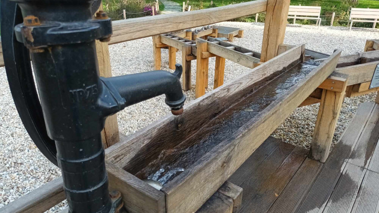 FOTOGALERIE: Přerov vybudoval unikátní vodní zahradu. Těší se velké oblibě