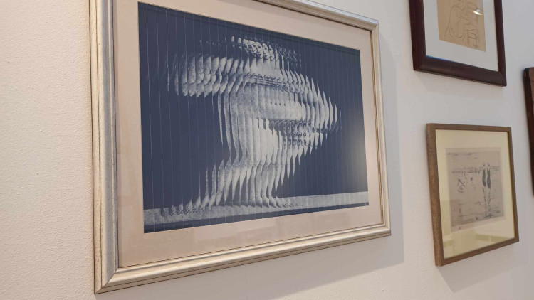 FOTOGALERIE: Evropská moderna v prostějovském muzeu