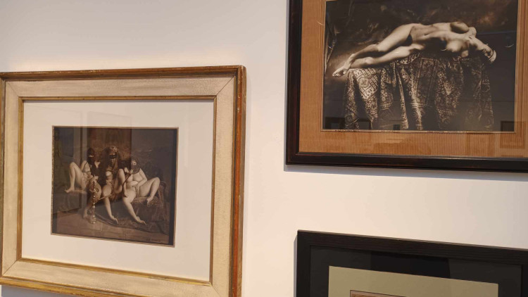 FOTOGALERIE: Evropská moderna v prostějovském muzeu