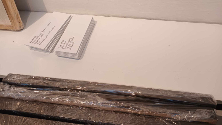 FOTOGALERIE: Evropská moderna v prostějovském muzeu