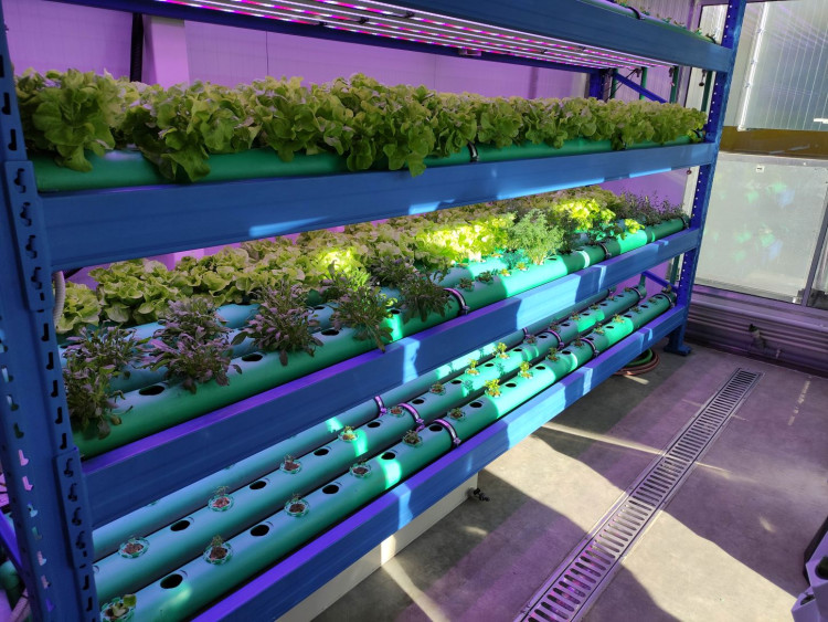 V Porubě už rok stojí budova, ve které vědci zachraňují svět