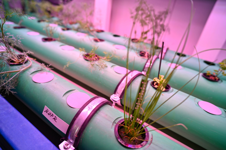 V Porubě už rok stojí budova, ve které vědci zachraňují svět