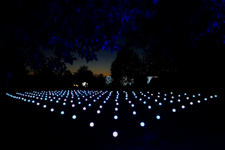FOTOGALERIE: Gorily, nosorožci i sloni mimo výběh. Pražská zoo zve na lampionová zářící zvířata