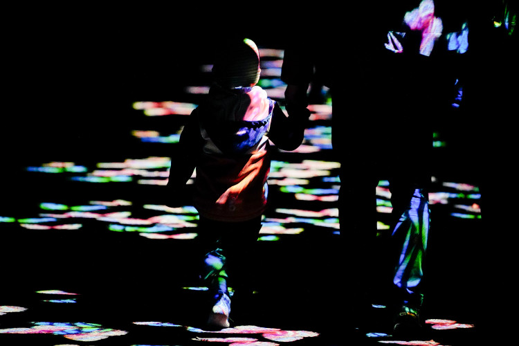 FOTOGALERIE: Gorily, nosorožci i sloni mimo výběh. Pražská zoo zve na lampionová zářící zvířata