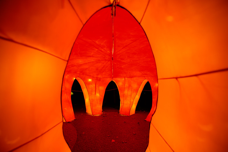 FOTOGALERIE: Gorily, nosorožci i sloni mimo výběh. Pražská zoo zve na lampionová zářící zvířata