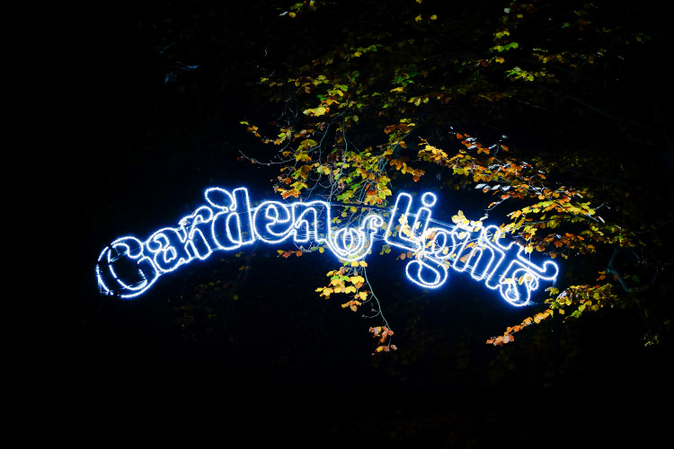 FOTOGALERIE: Gorily, nosorožci i sloni mimo výběh. Pražská zoo zve na lampionová zářící zvířata