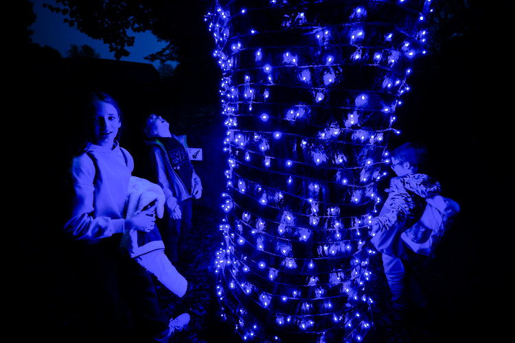 FOTOGALERIE: Gorily, nosorožci i sloni mimo výběh. Pražská zoo zve na lampionová zářící zvířata