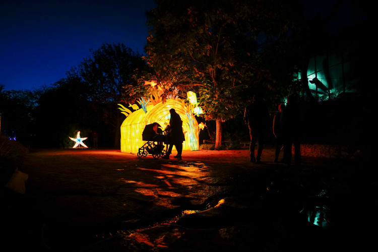 FOTOGALERIE: Gorily, nosorožci i sloni mimo výběh. Pražská zoo zve na lampionová zářící zvířata