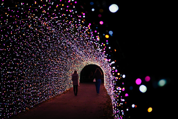 FOTOGALERIE: Gorily, nosorožci i sloni mimo výběh. Pražská zoo zve na lampionová zářící zvířata