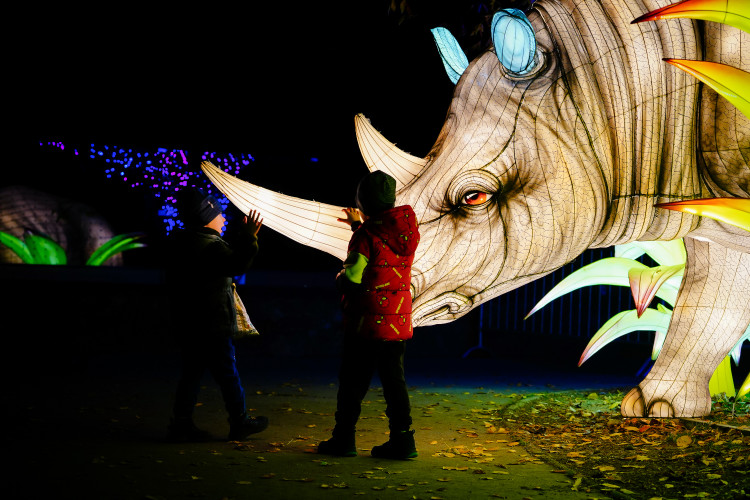 FOTOGALERIE: Gorily, nosorožci i sloni mimo výběh. Pražská zoo zve na lampionová zářící zvířata