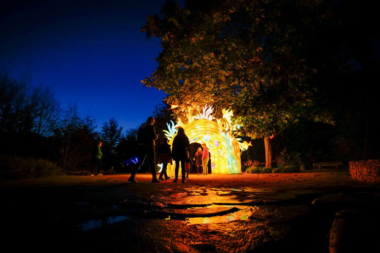 FOTOGALERIE: Gorily, nosorožci i sloni mimo výběh. Pražská zoo zve na lampionová zářící zvířata