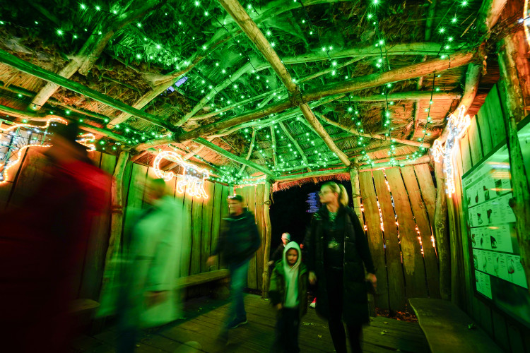 FOTOGALERIE: Gorily, nosorožci i sloni mimo výběh. Pražská zoo zve na lampionová zářící zvířata