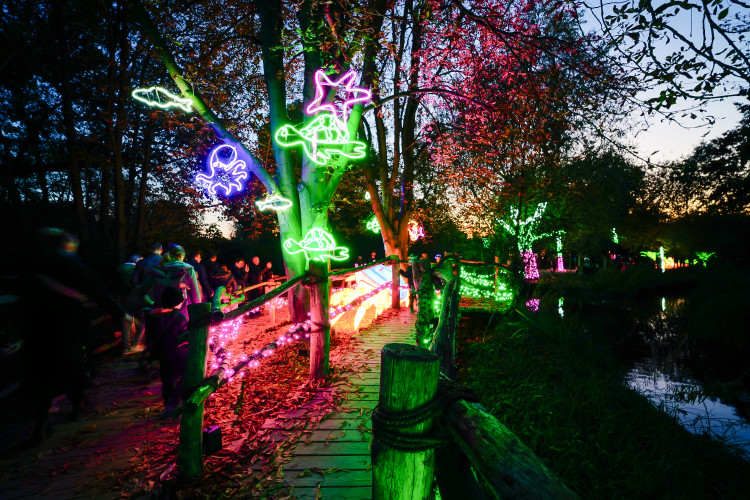 FOTOGALERIE: Gorily, nosorožci i sloni mimo výběh. Pražská zoo zve na lampionová zářící zvířata