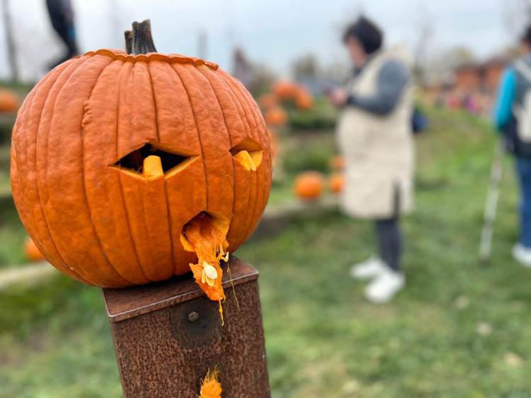 GALERIE: Týden duchů v Safari Parku (2024)