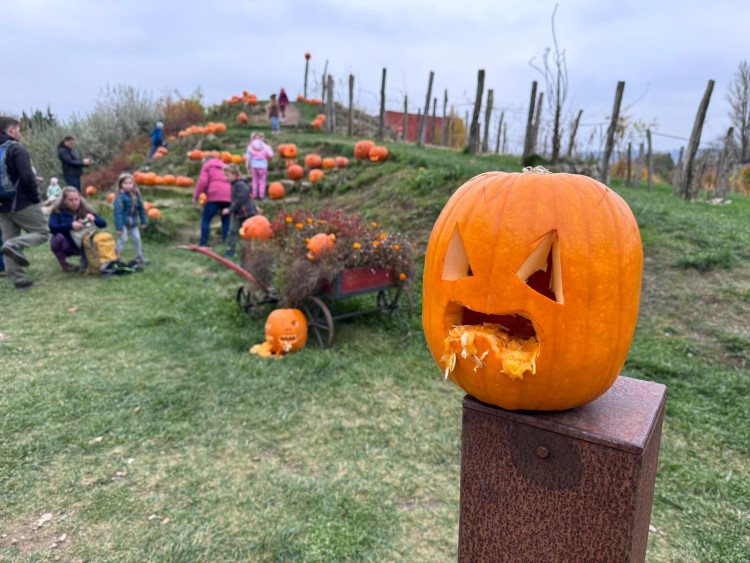 GALERIE: Týden duchů v Safari Parku (2024)