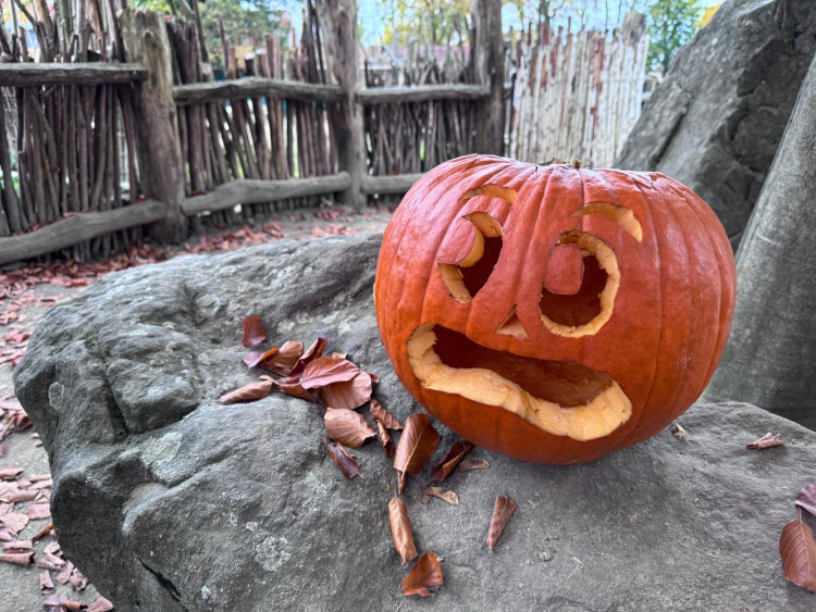 GALERIE: Týden duchů v Safari Parku (2024)