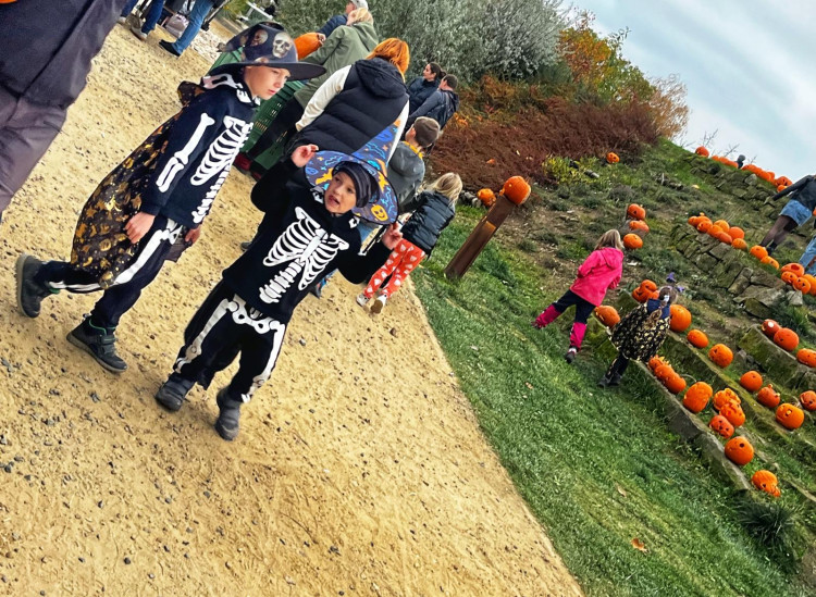 GALERIE: Týden duchů v Safari Parku (2024)