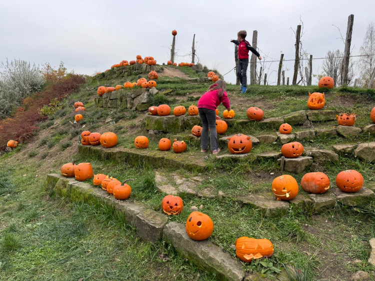 GALERIE: Týden duchů v Safari Parku (2024)