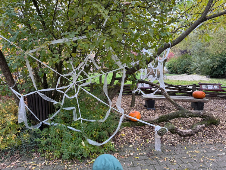 GALERIE: Týden duchů v Safari Parku (2024)