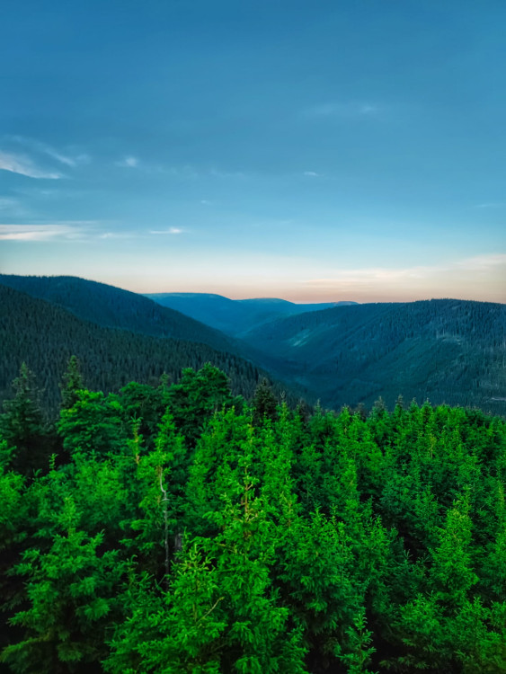 FOTOGALERIE: Jedinečné výhledy na úžasnou přírodu Jeseníků a dolní nádrž Dlouhé stráně
