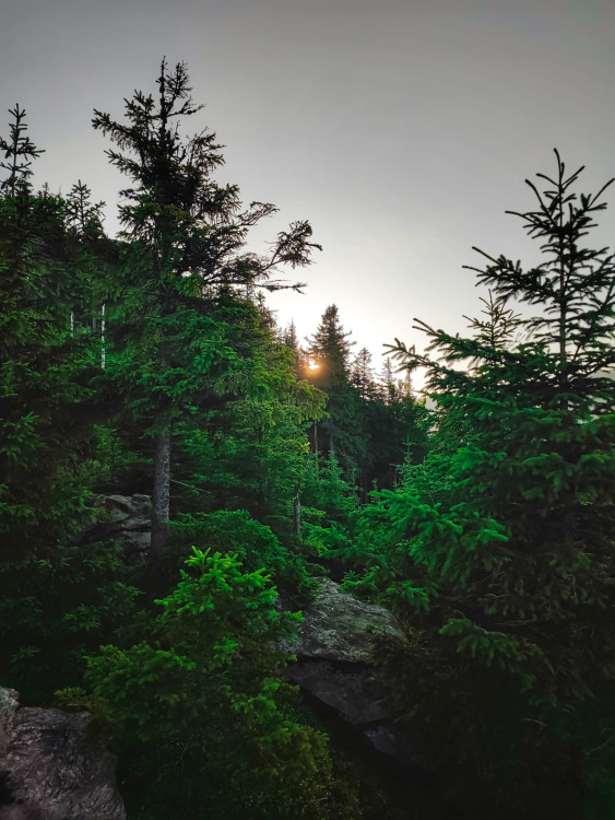 FOTOGALERIE: Jedinečné výhledy na úžasnou přírodu Jeseníků a dolní nádrž Dlouhé stráně