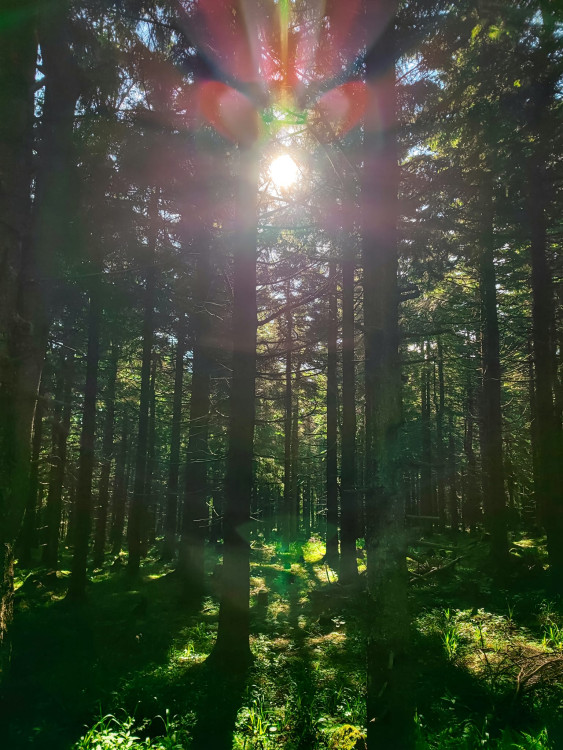 FOTOGALERIE: Jedinečné výhledy na úžasnou přírodu Jeseníků a dolní nádrž Dlouhé stráně