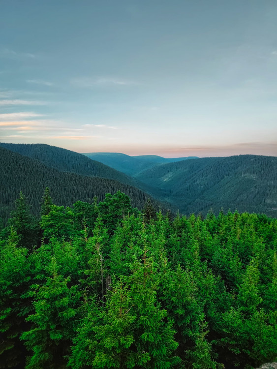 FOTOGALERIE: Jedinečné výhledy na úžasnou přírodu Jeseníků a dolní nádrž Dlouhé stráně