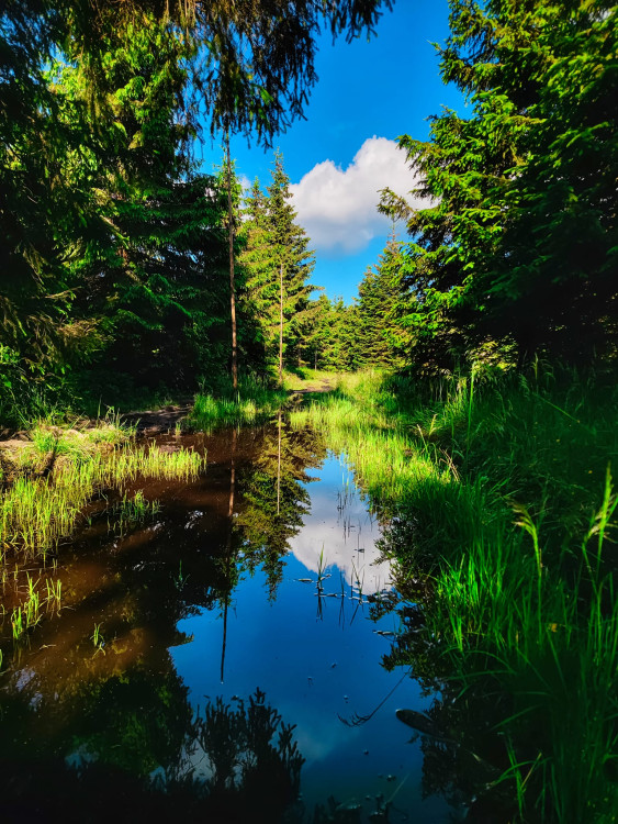 FOTOGALERIE: Jedinečné výhledy na úžasnou přírodu Jeseníků a dolní nádrž Dlouhé stráně